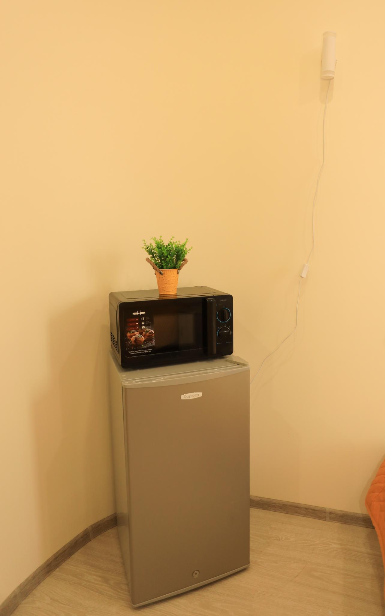 Фото Звездочка