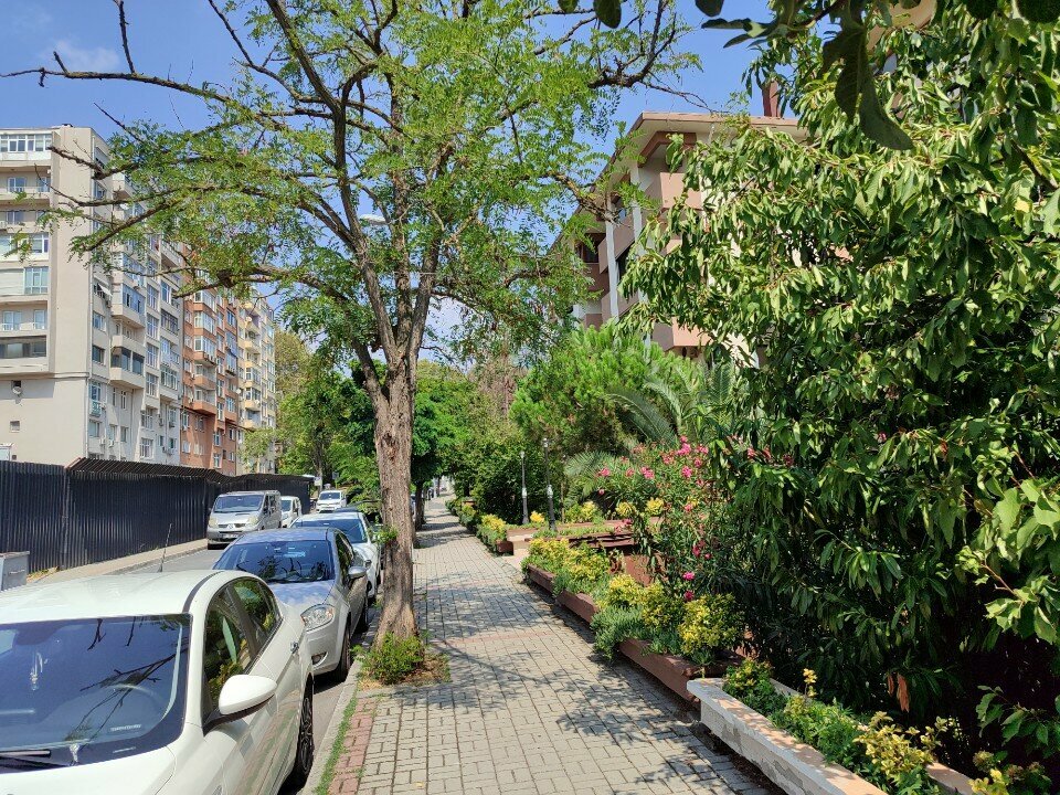 Advertising agency Magna Dijital Pazarlama Ajansı ve Danışmanlık Hizmetleri, Istanbul, photo