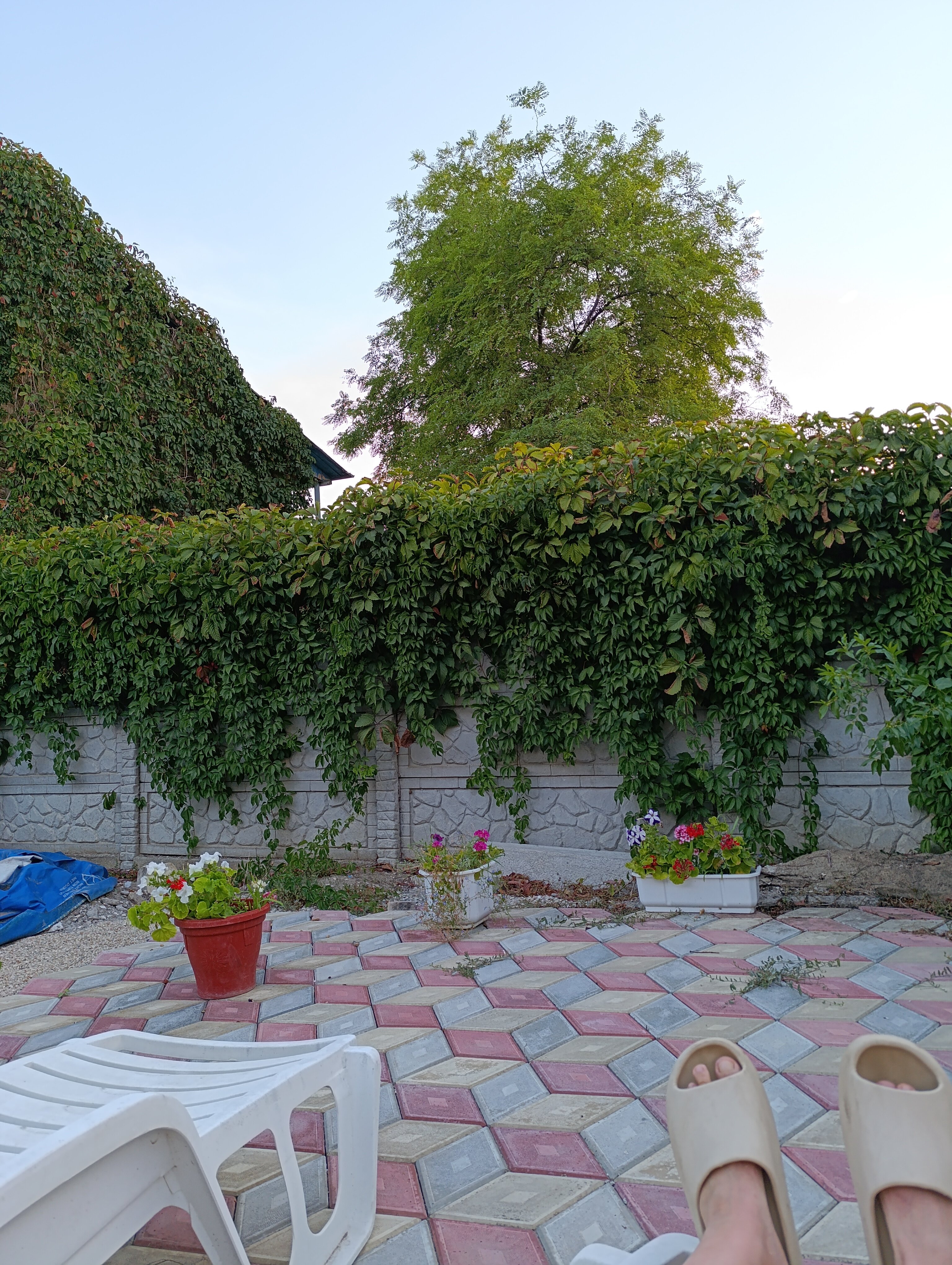 Фото Гурман