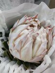 SunRise (Moscow, Novomoskovskiy Administrative Okrug, Kommunarka District, Kaluzhskoye shosse, 22-y kilometr, 10), flower shop