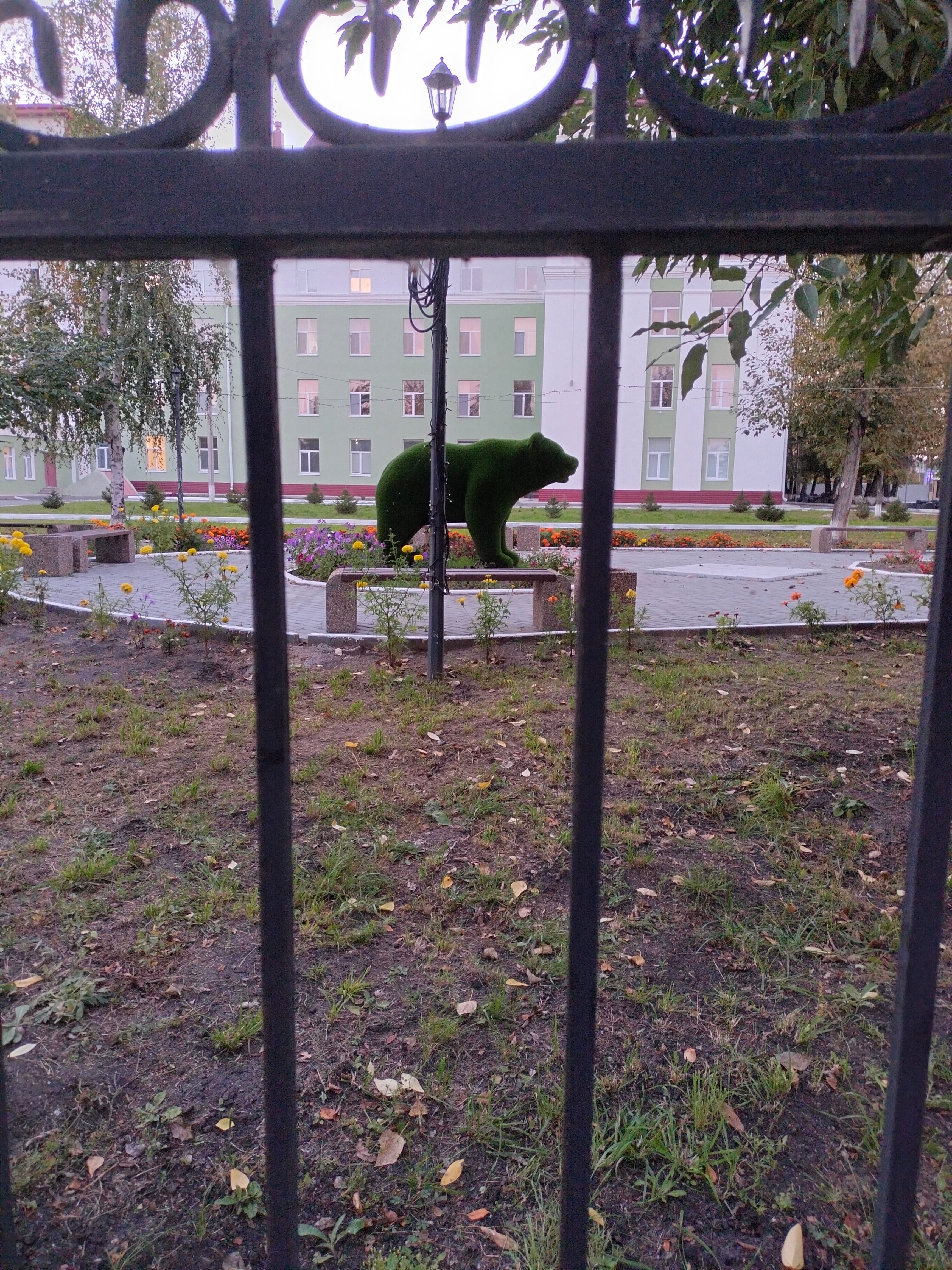 Фото Книиэкот