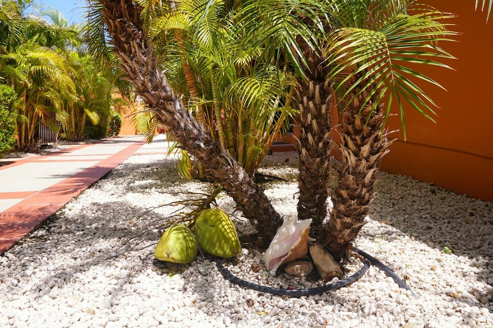 Фото Cariñas Studio Apartments