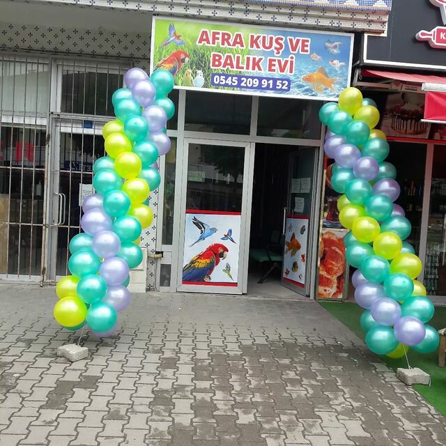 Driving school Cumayeri Driving Course, Cumayeri, photo