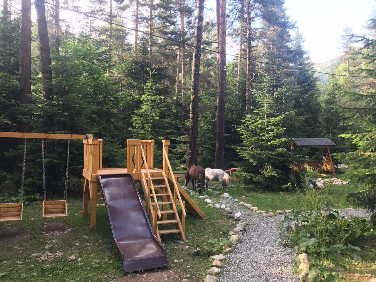 Фото Белый волк