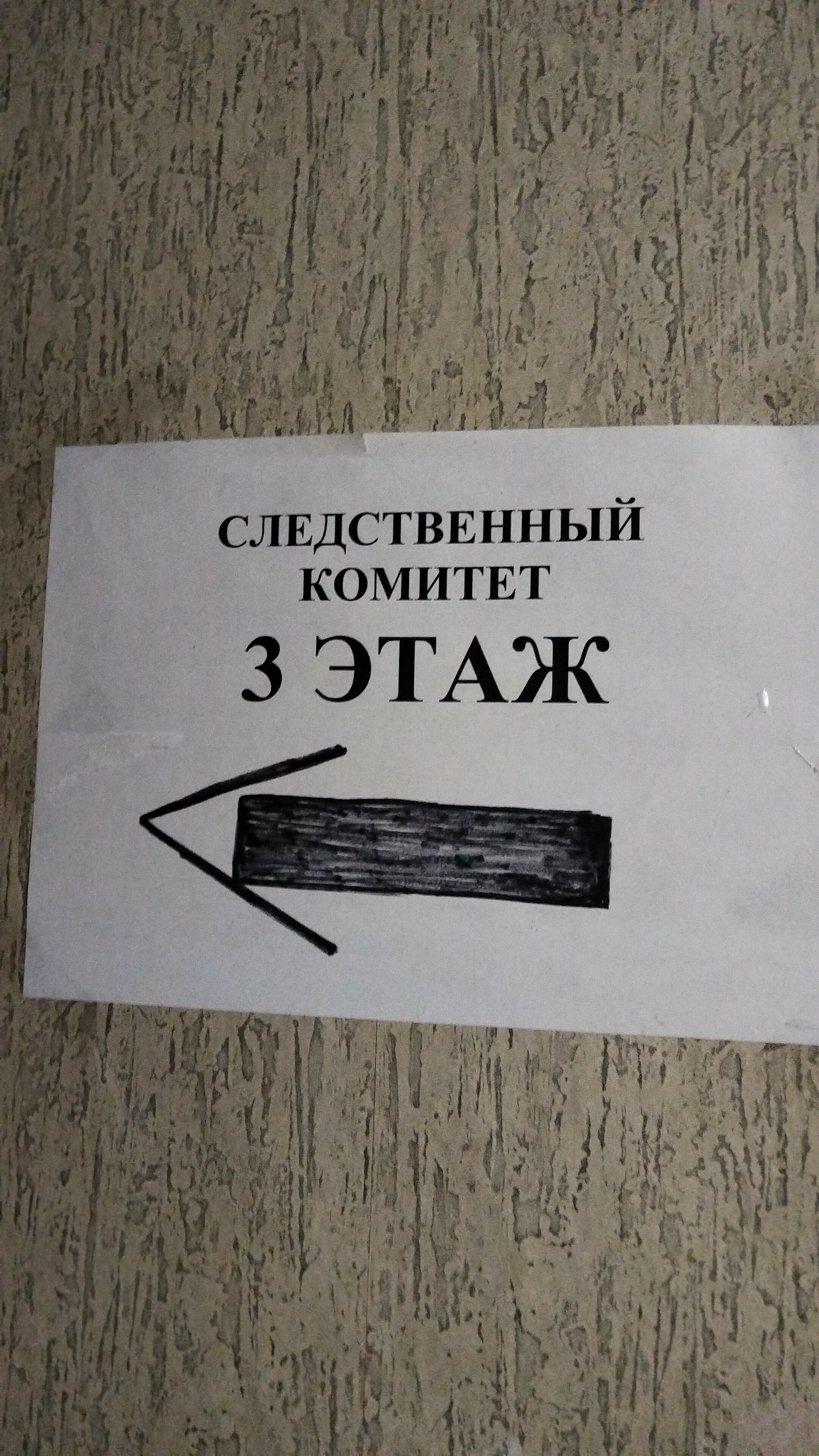 Фото Лазоревая