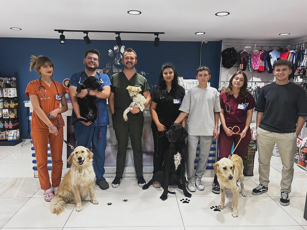 Veterinary clinic Pet Istanbul Veterinary, Kayseri, photo