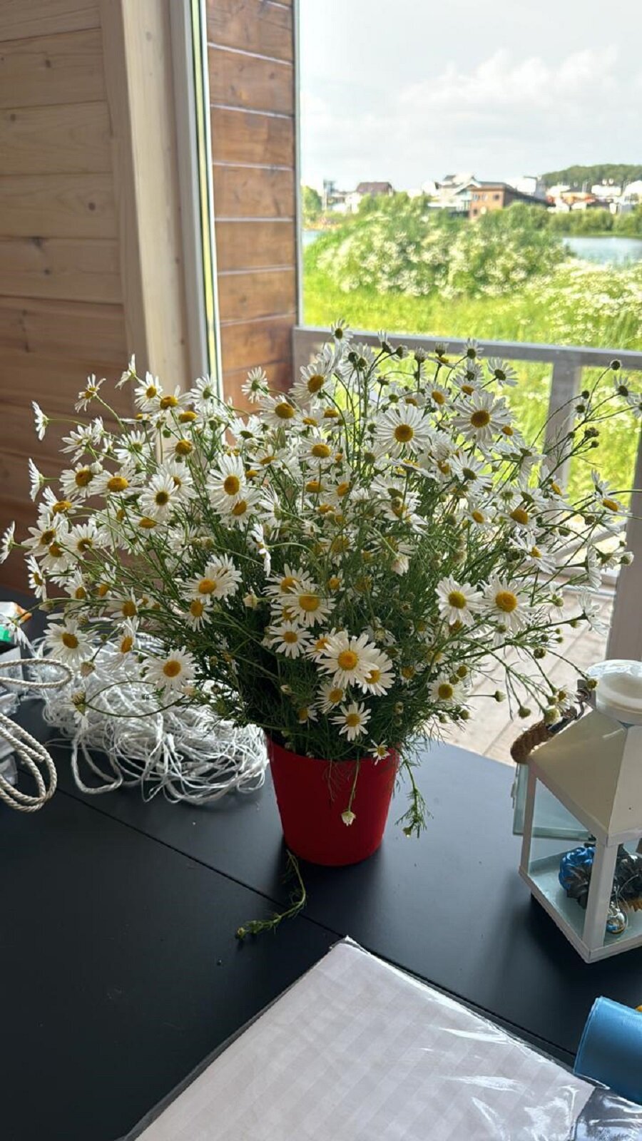 Фото Южный Берег