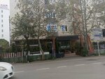 Selin Börek (İstanbul, Pendik, Süreyyapaşa Cad., 113B), confectionary