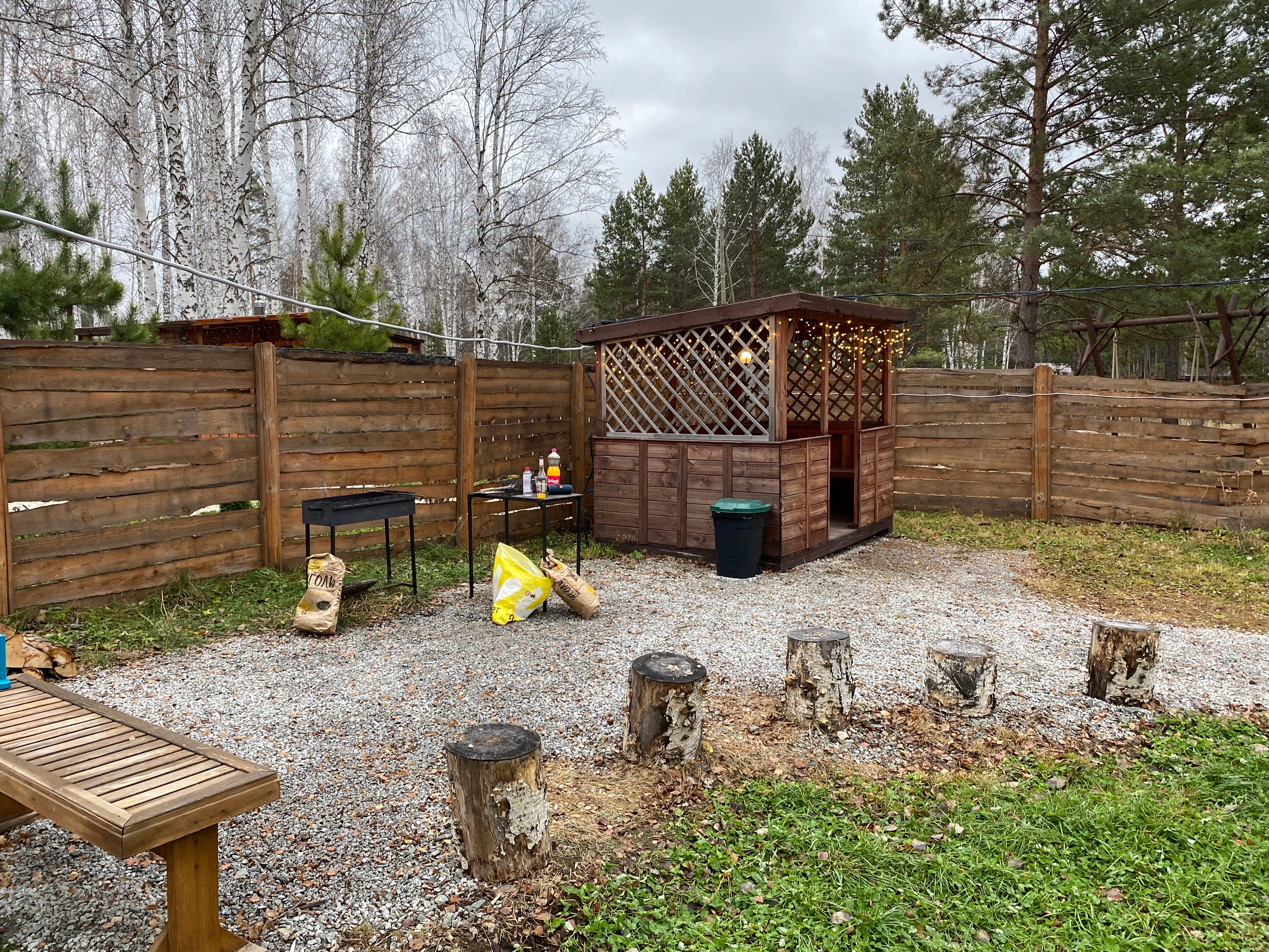 Фото Тихий Кот