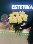 Estetika (derevnya Rodina, Nikolskaya ulitsa, 5) ، محل زهور