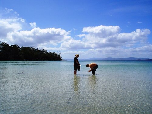 Гостиница Bruny Island Escapes and Hotel Bruny