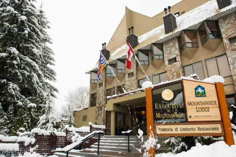 Фото Mountainside Lodge