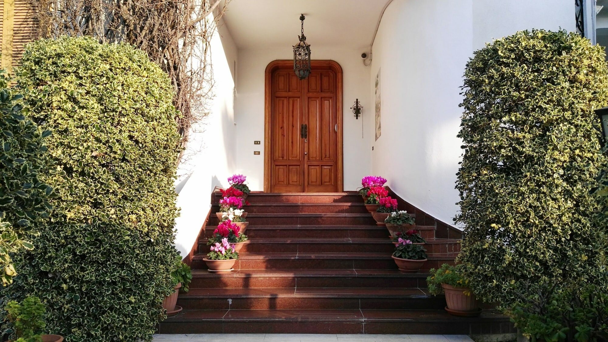 Фото Villa Mary - Apartments