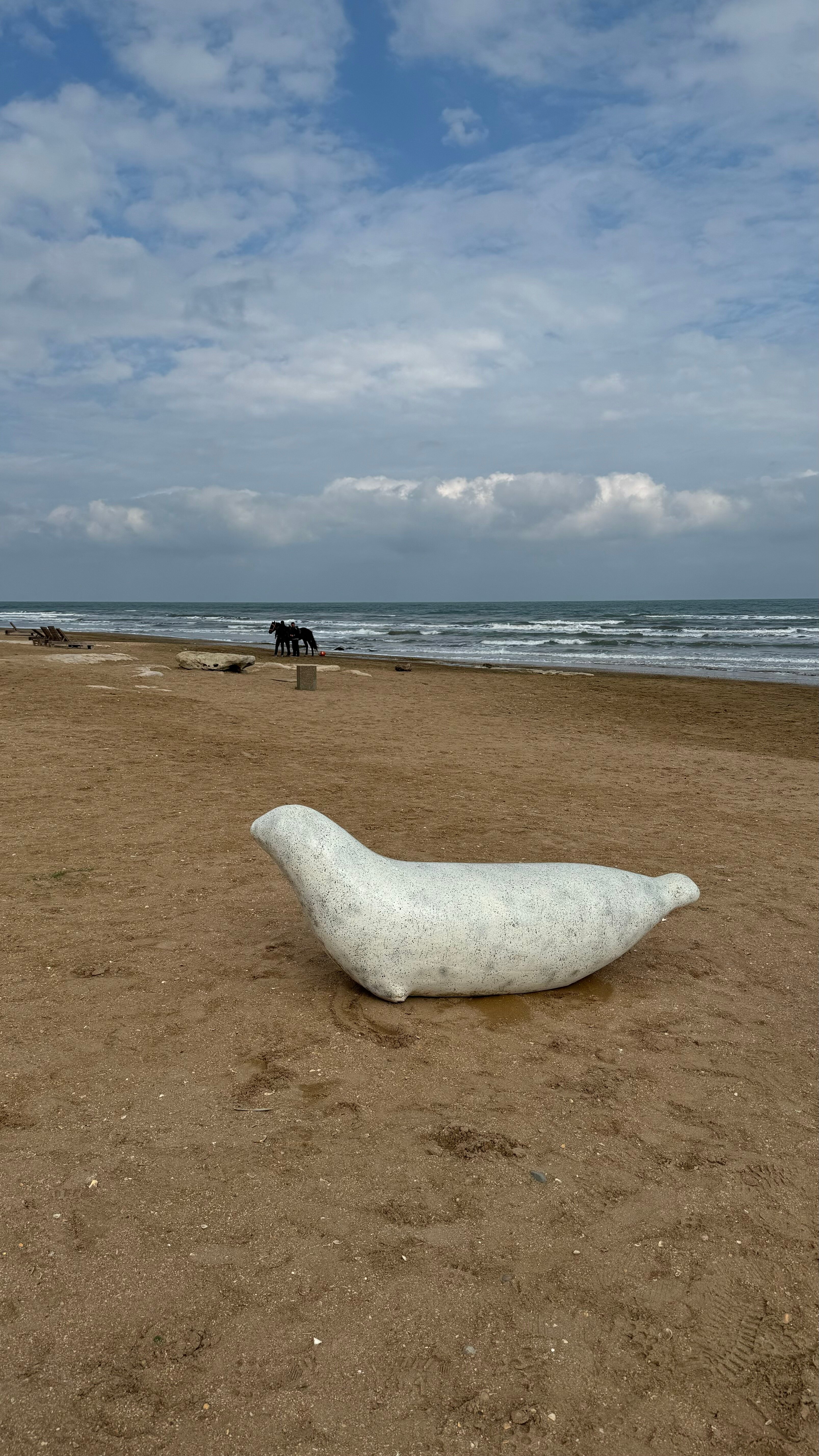 Фото 4 сезона