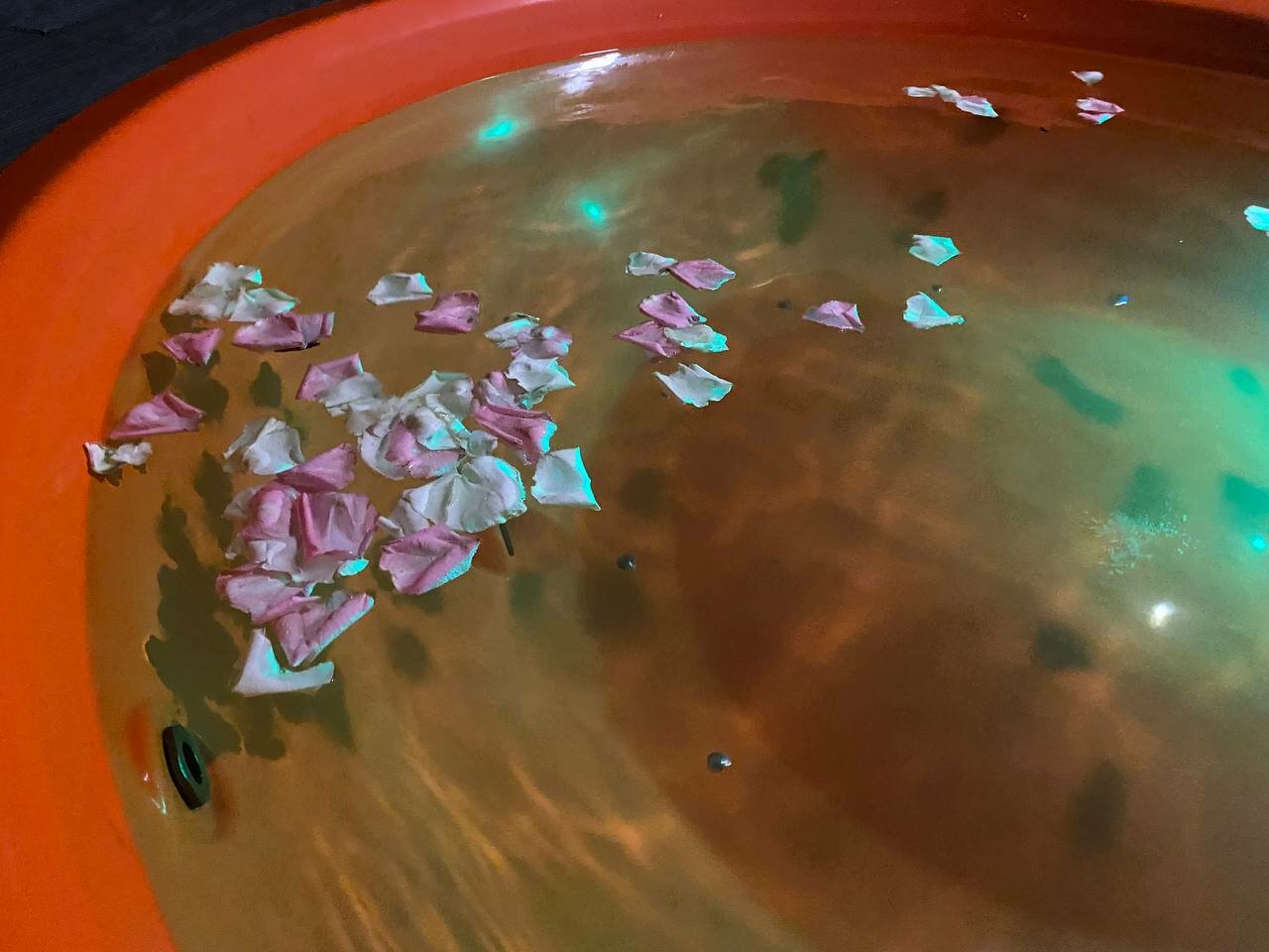 Фото Гнездо семейного счастья