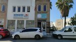 Gunisigi Surucu Kursu (Muğla, Bodrum, Cevat Şakir Mah., Hoca Ahmet Yesevi Sok., 27), driving school
