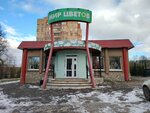 Мир цветов (Lenina Avenue, 33) ، محل زهور