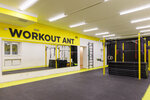 Workout Ant (Aviatorov Street, 19к2), sports club
