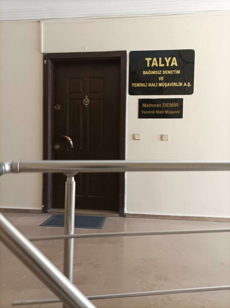 Inspection Talya Independent Audit, Antalya, photo