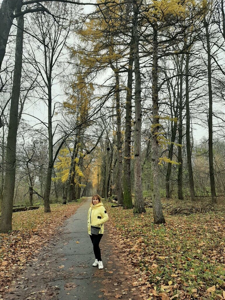 Park Шахтёрский парк, усадьба Графов Бобринских, Donskoy, photo