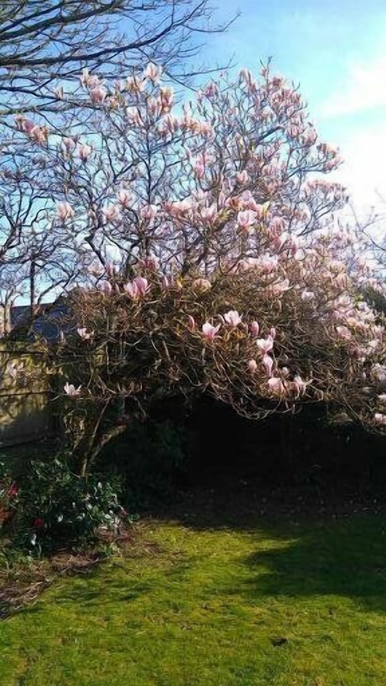Фото Tudor Court Hotel