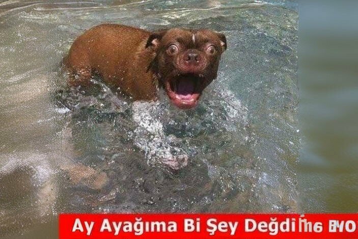 Computer repairs and services Protek Bilgisayar, Sungurlu, photo