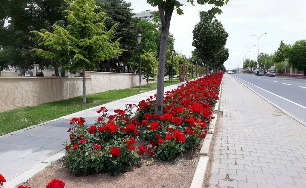 Mosque Serindag Mosque, Kirsehir, photo