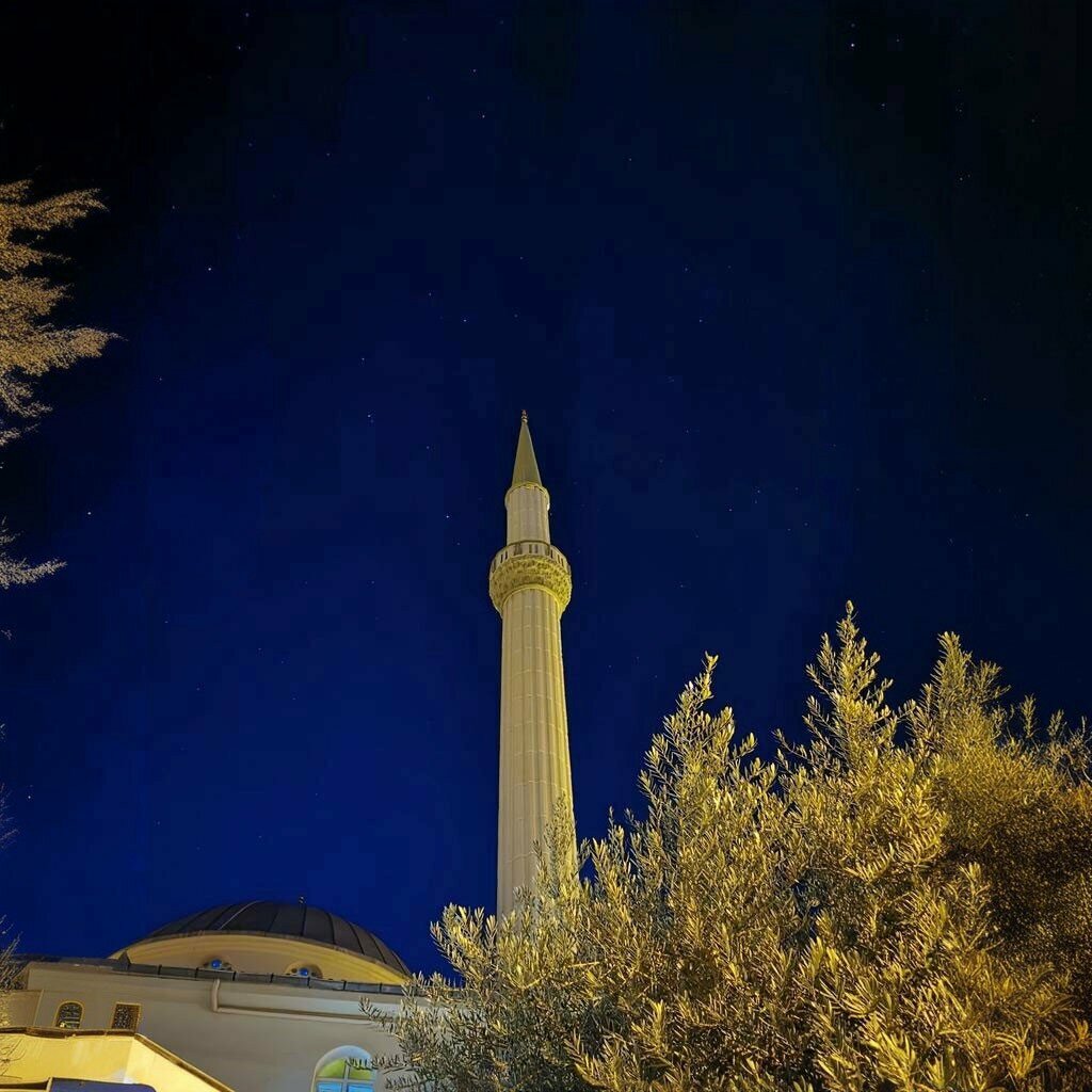 Mosque Hz. Omar Mosque, Salihli, photo
