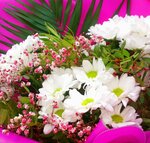 Flamingo Flowers (ulitsa Betkhovena, 30), flower shop
