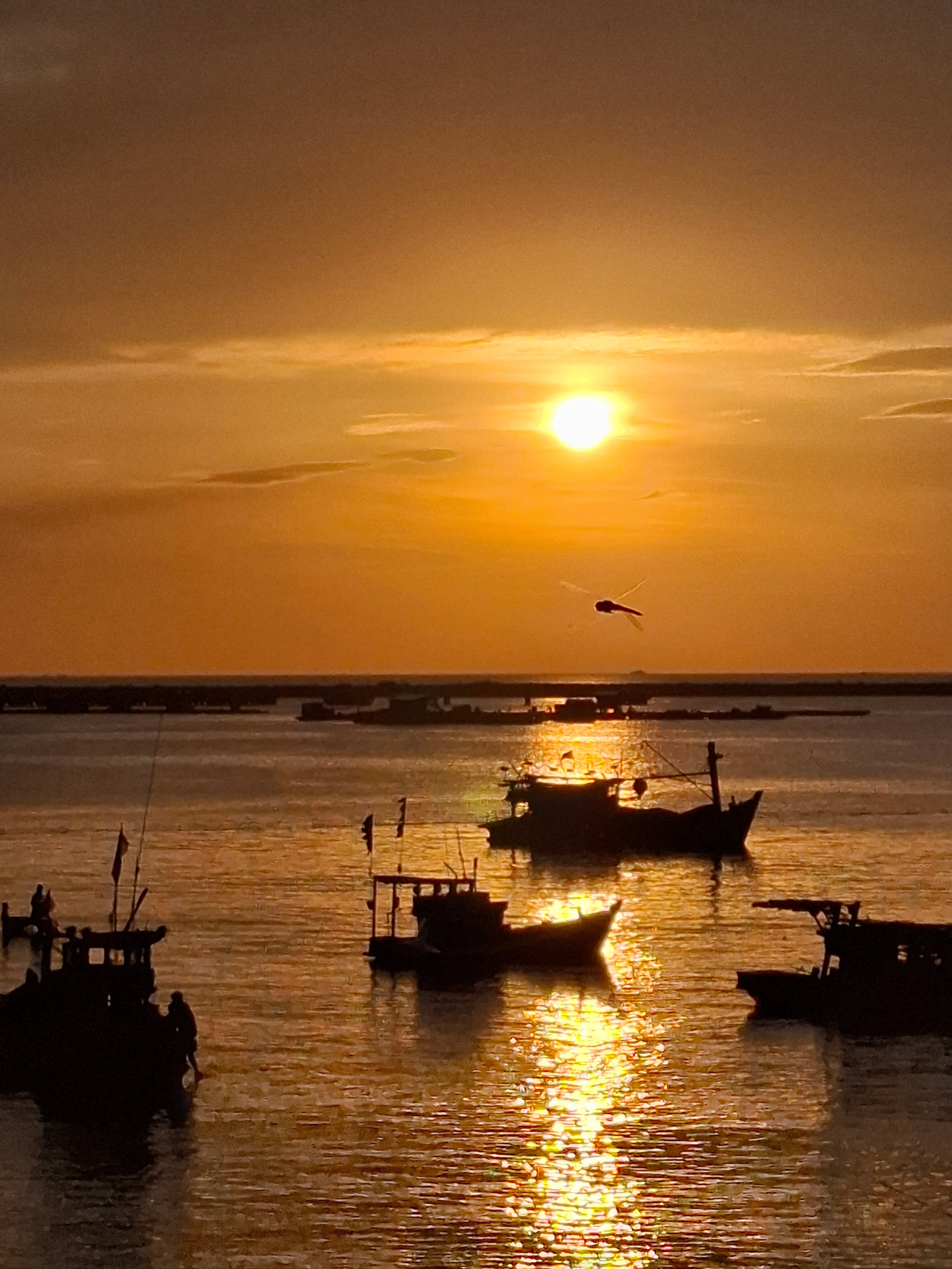 Фото The Poplar Resort