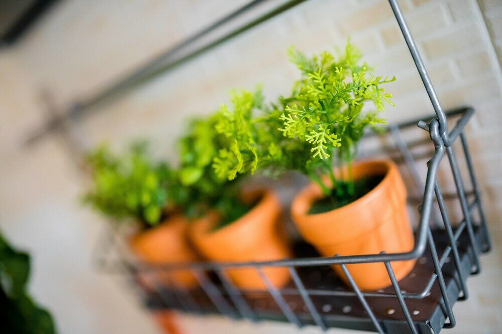 Фото La terrazza su Monopoli