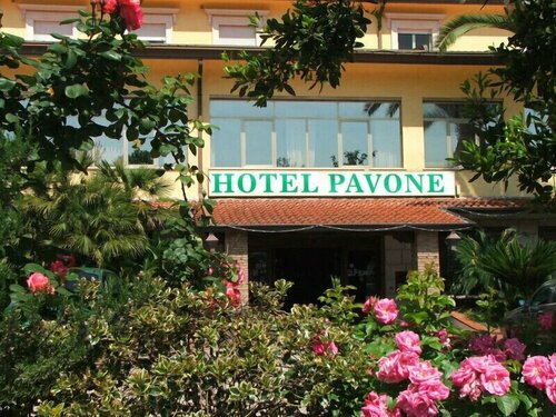 Гостиница Grand Hotel Pavone