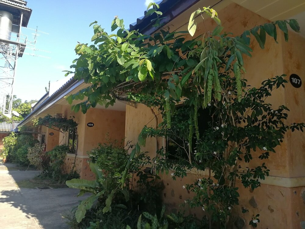 Фото Palm Chalet Resort