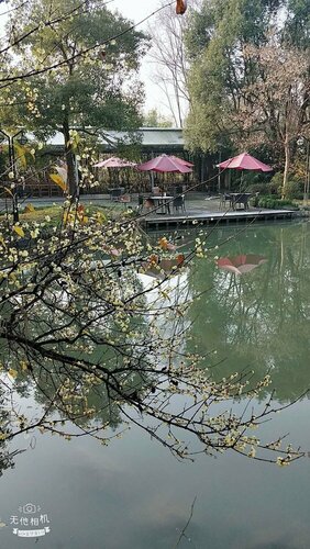 Гостиница Hangzhou Xixi Bieyuan Resort Hotel в Ханчжоу