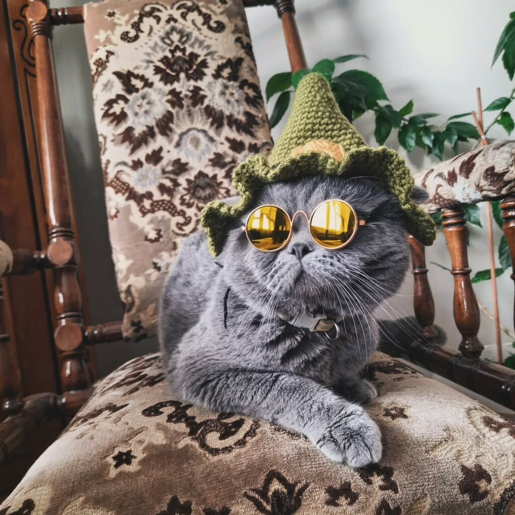 Pet shop Pati Home, Suleymanpasa, photo