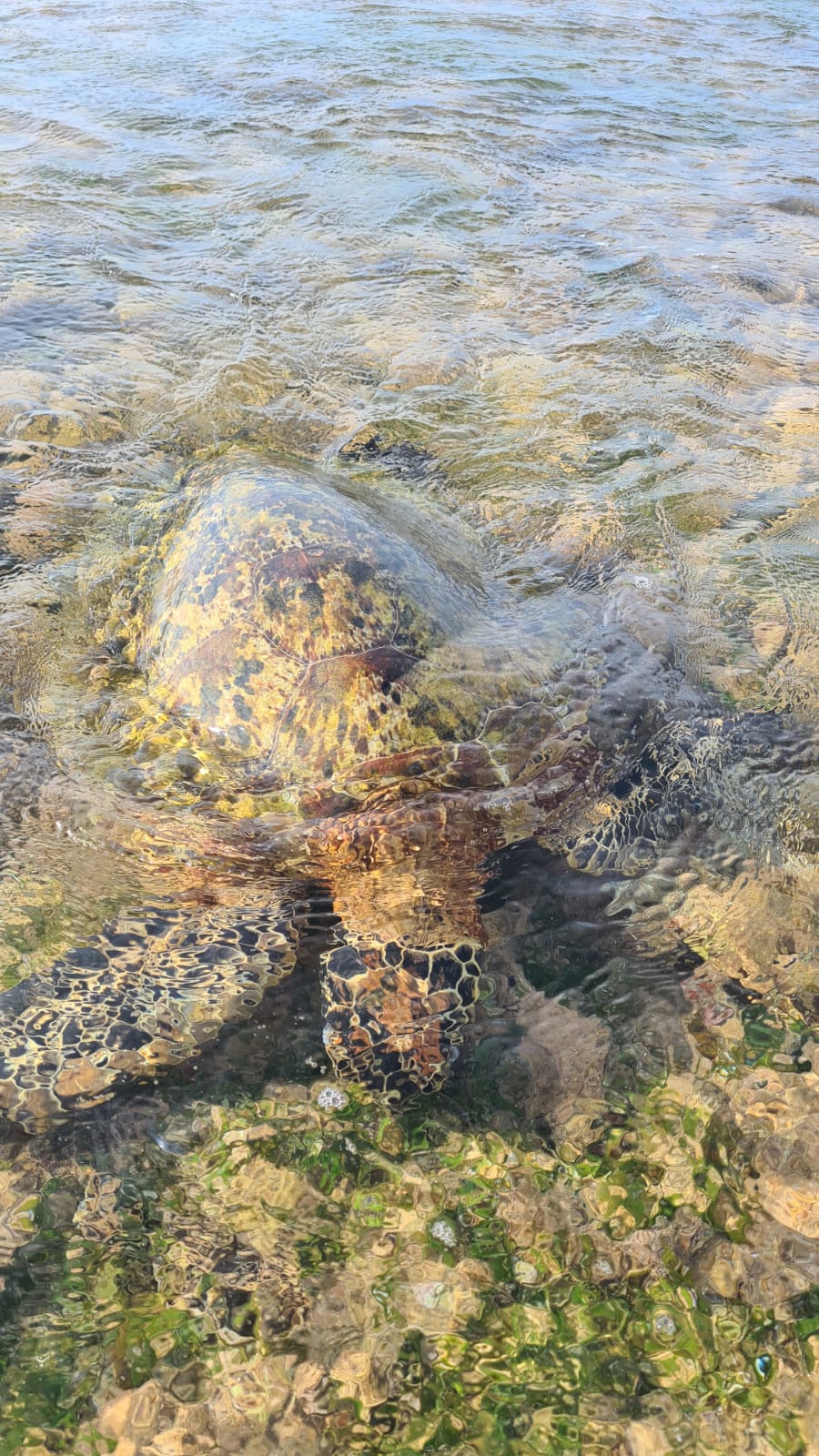 Фото Methira Villa