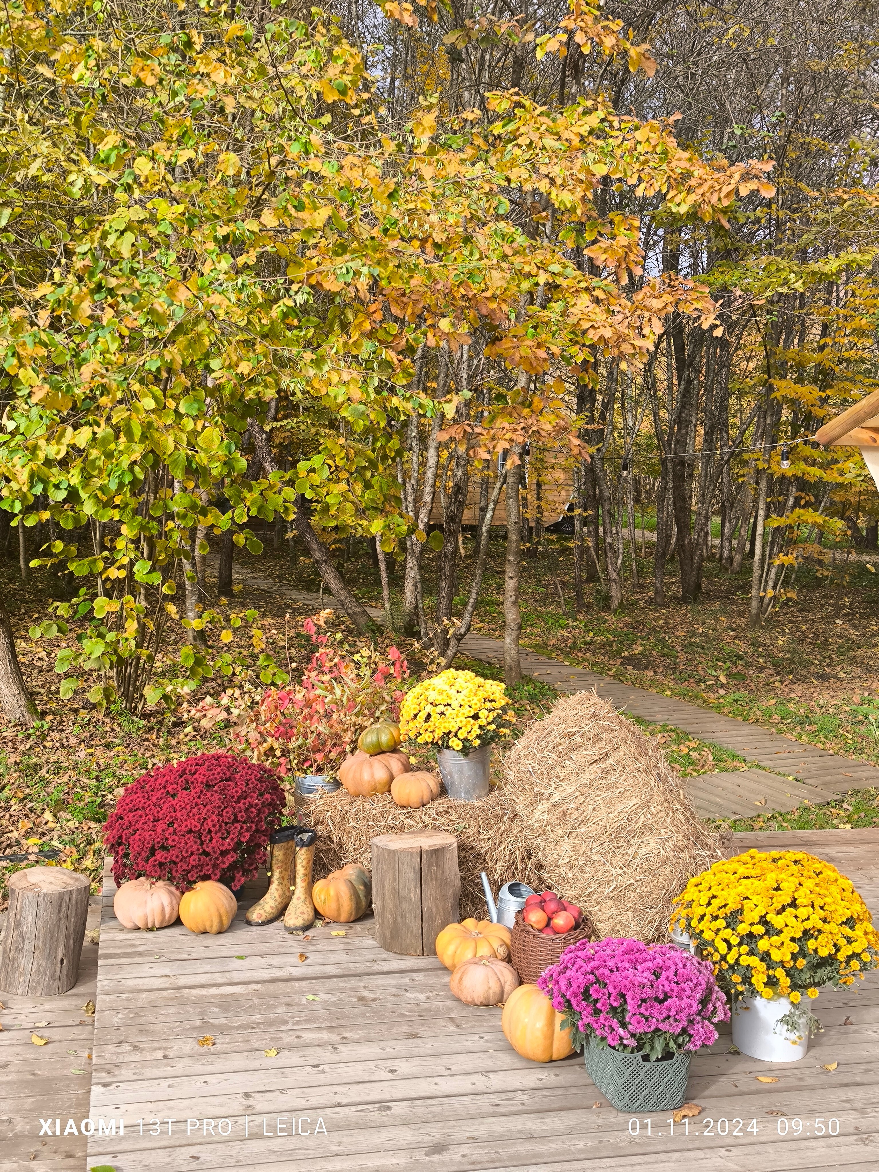 Фото МестоКемп