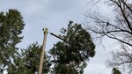 Wolfa Arboristics (Moscow, Kosinskaya Street, 11Ас1), alpinismo industrial