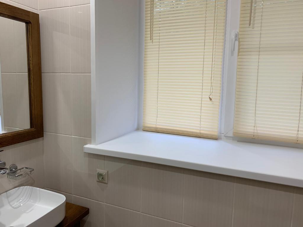 Фото Ромашка