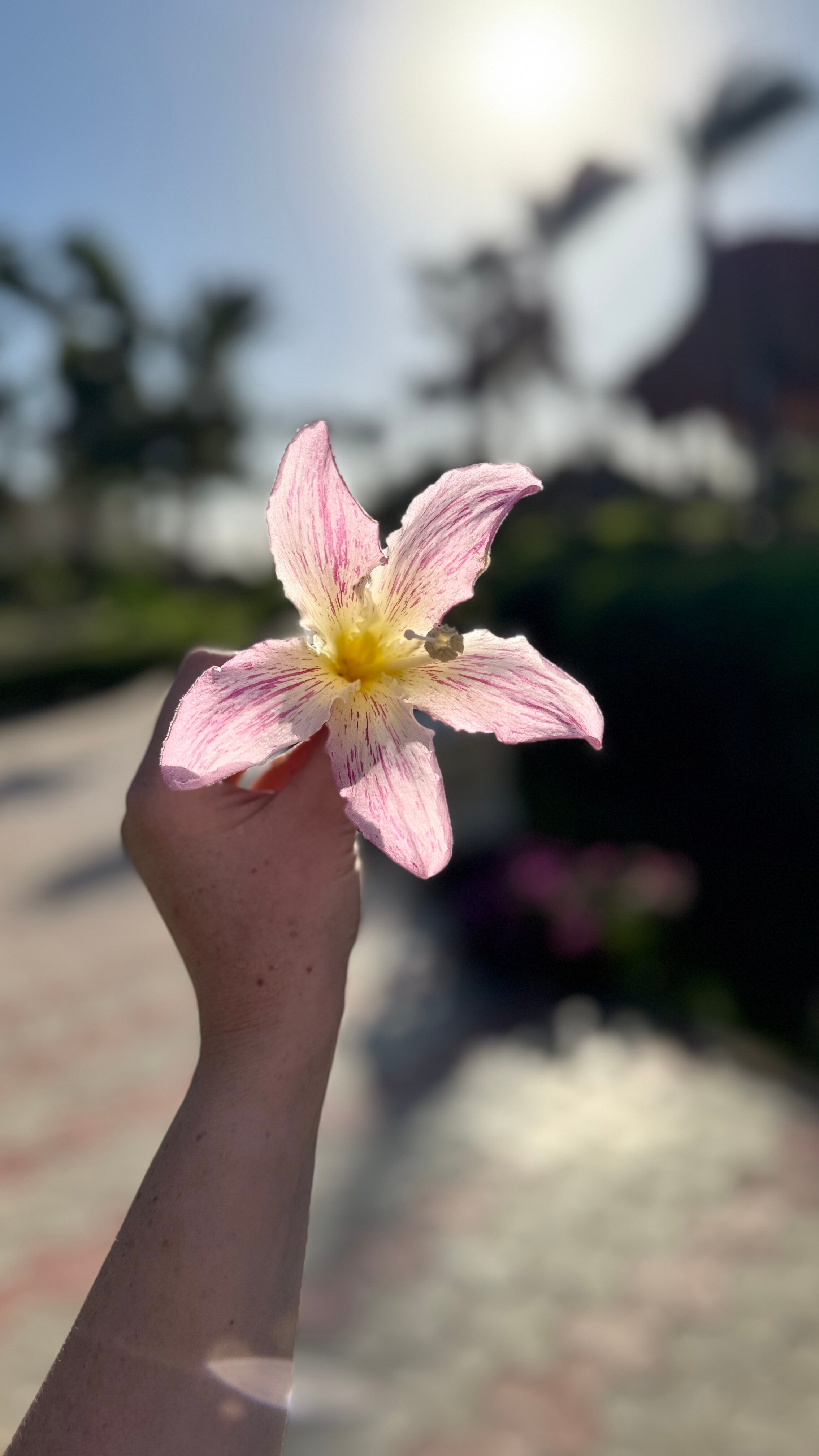 Фото Romance Regency Club