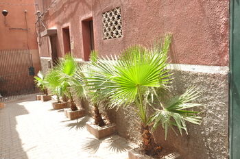 Фото Dar Salam - Adults Only