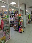 Канцелярия (Vilskogo Street, 28Д), toys and games