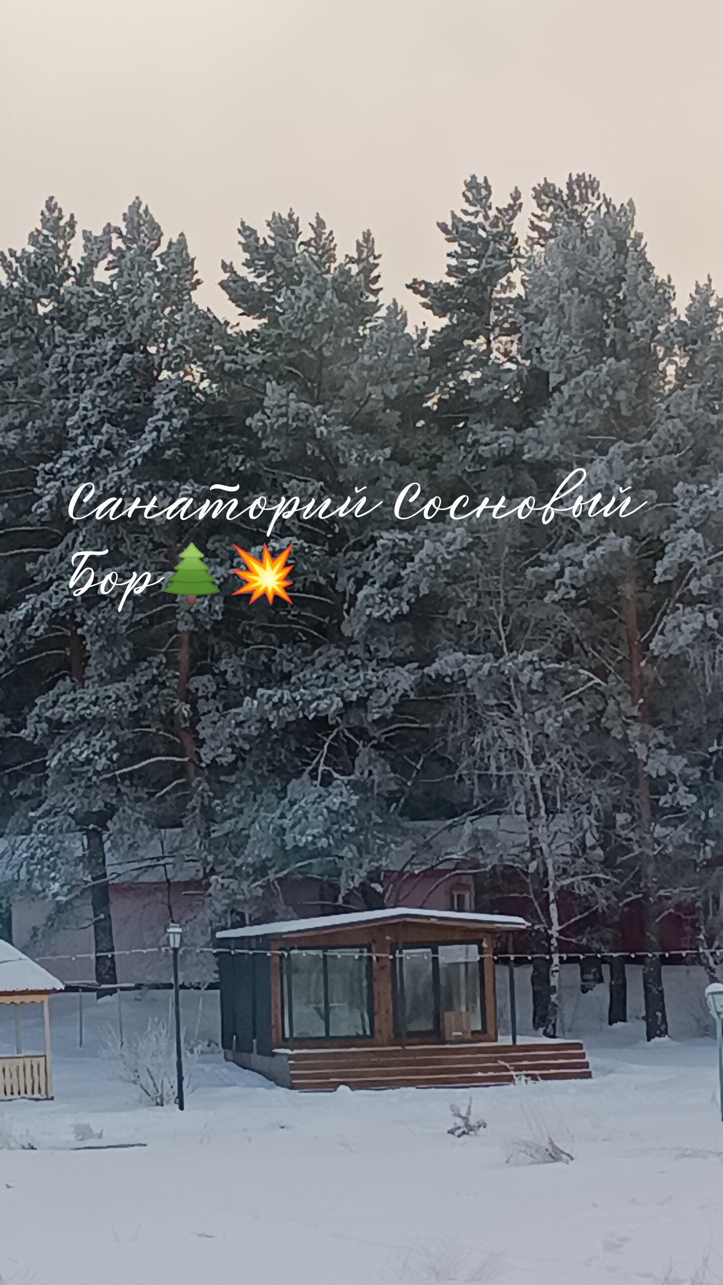 Фото Сосновый бор