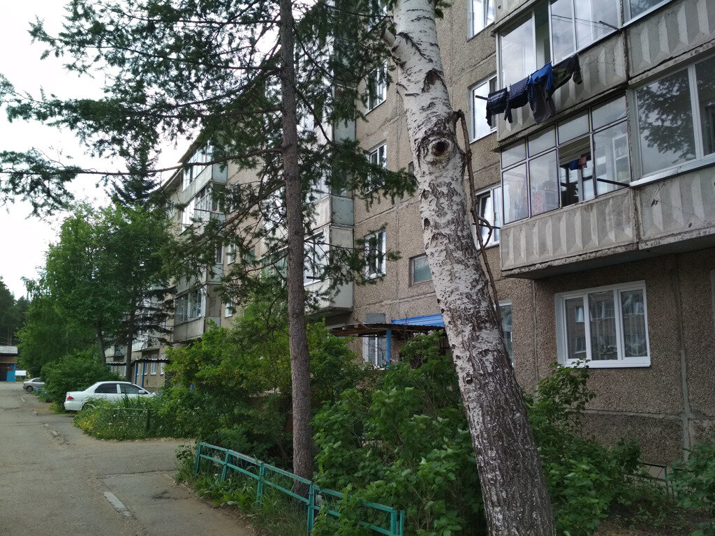 Фото Вариант