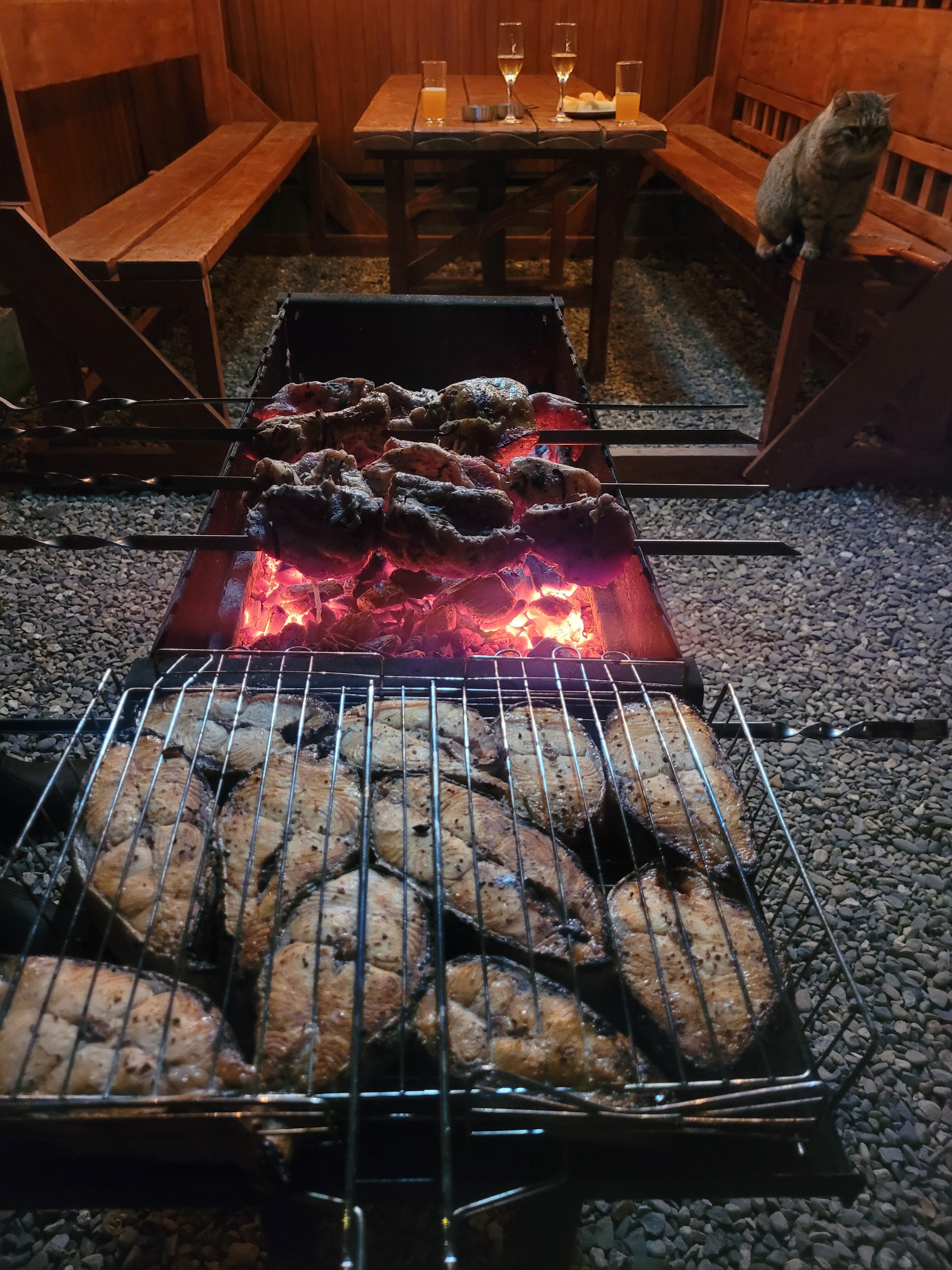 Фото Проксима