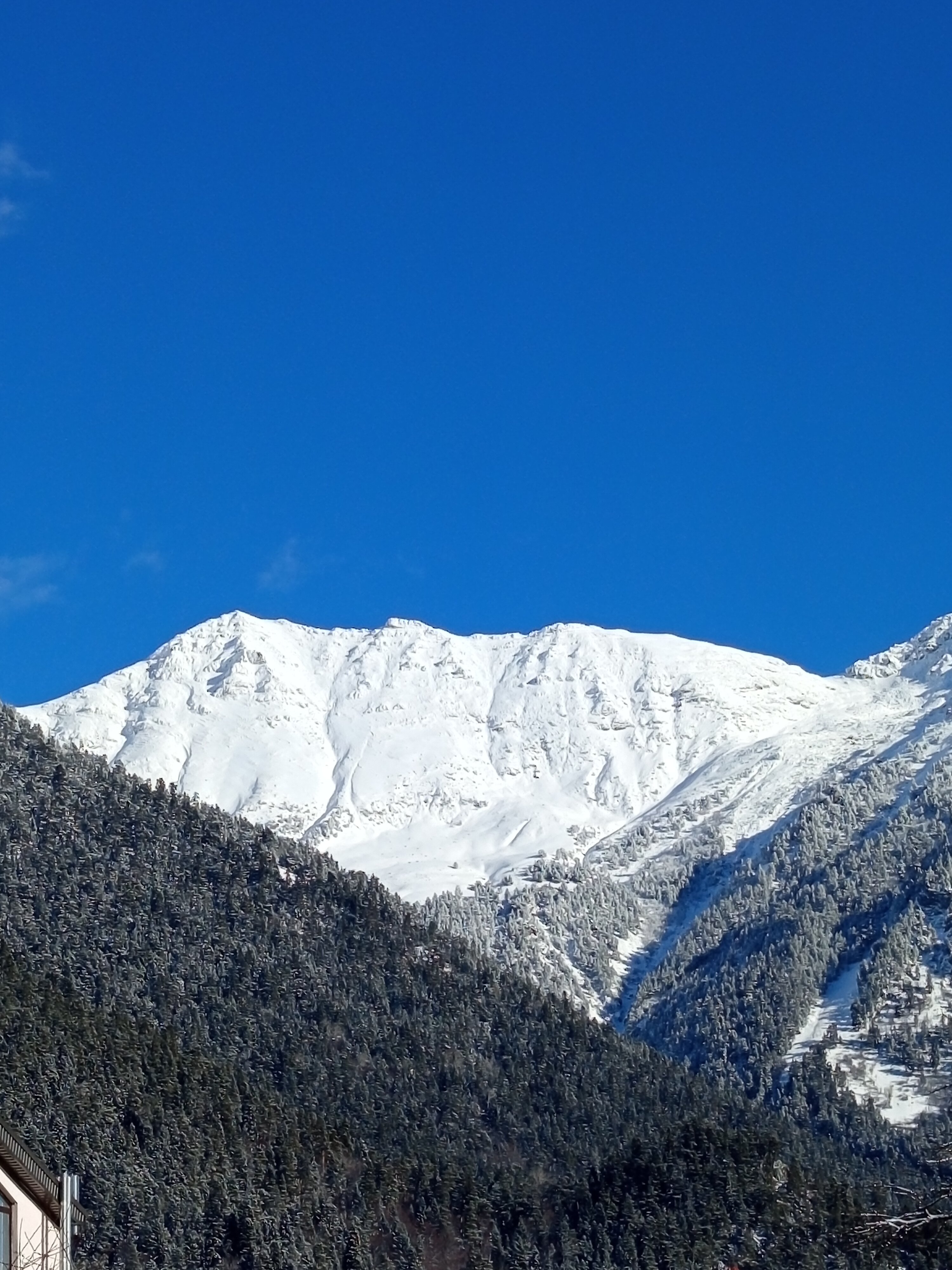 Фото Дариос