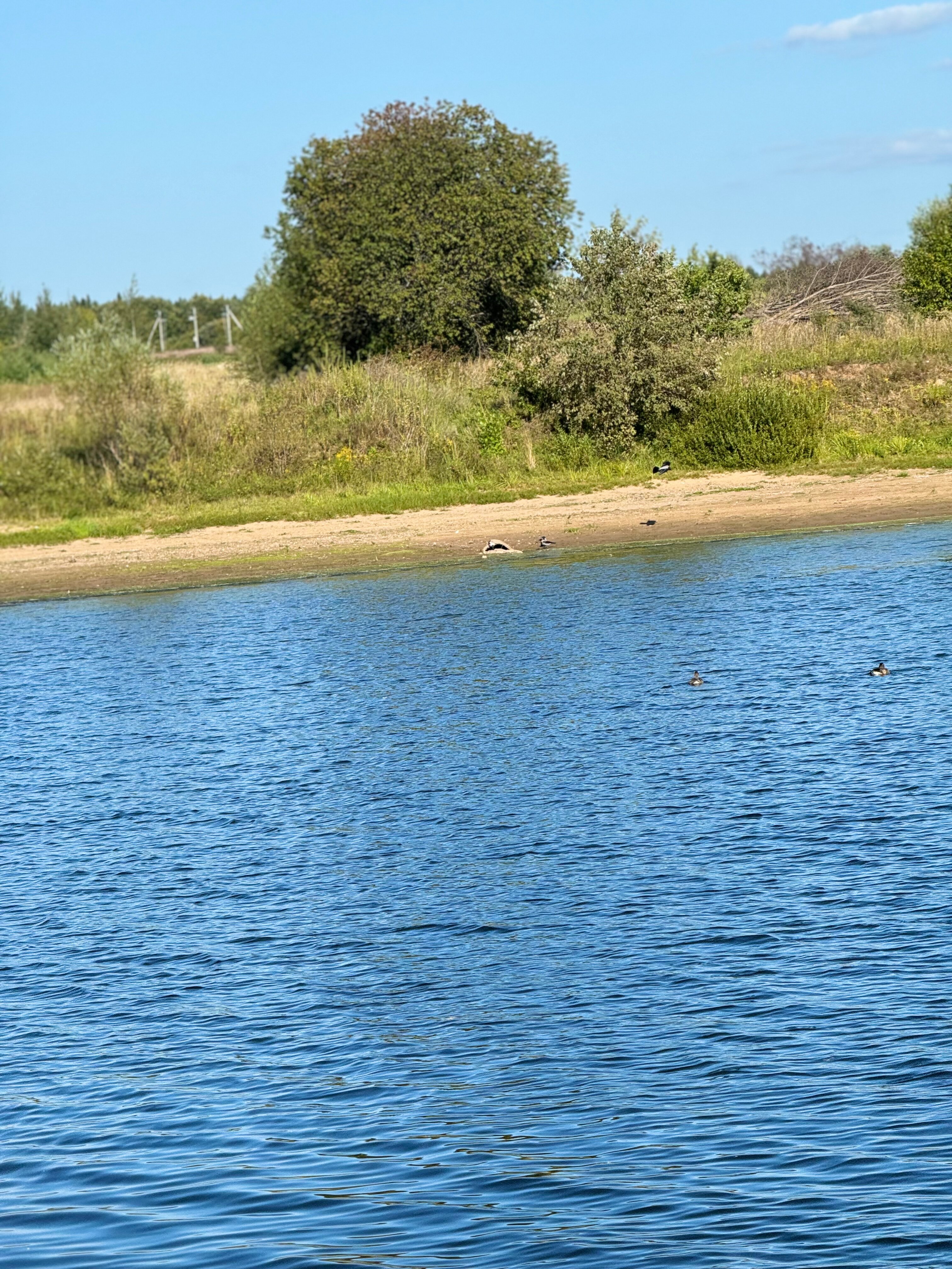 Фото Дом Пивоварова