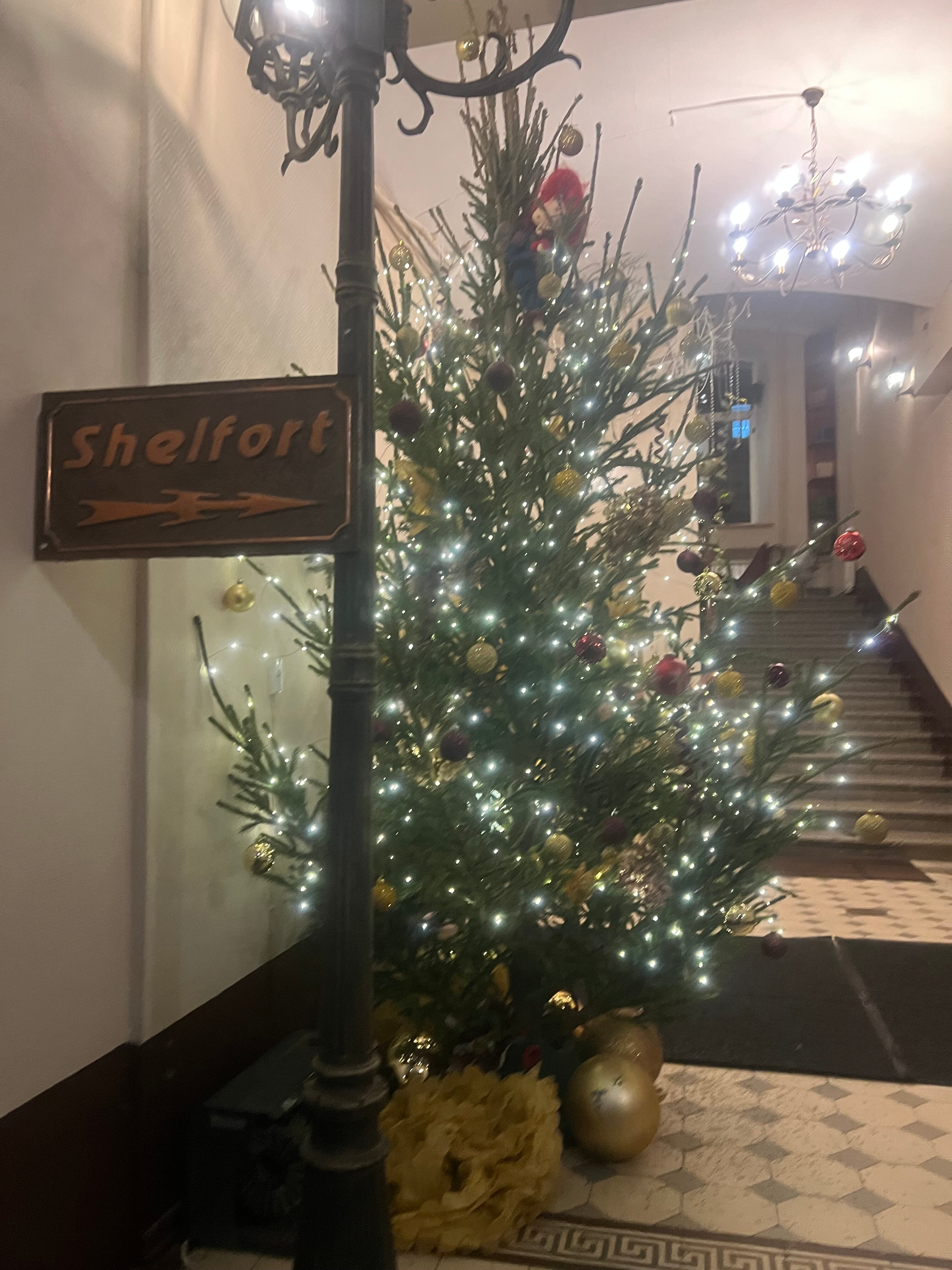 Фото Шелфорт