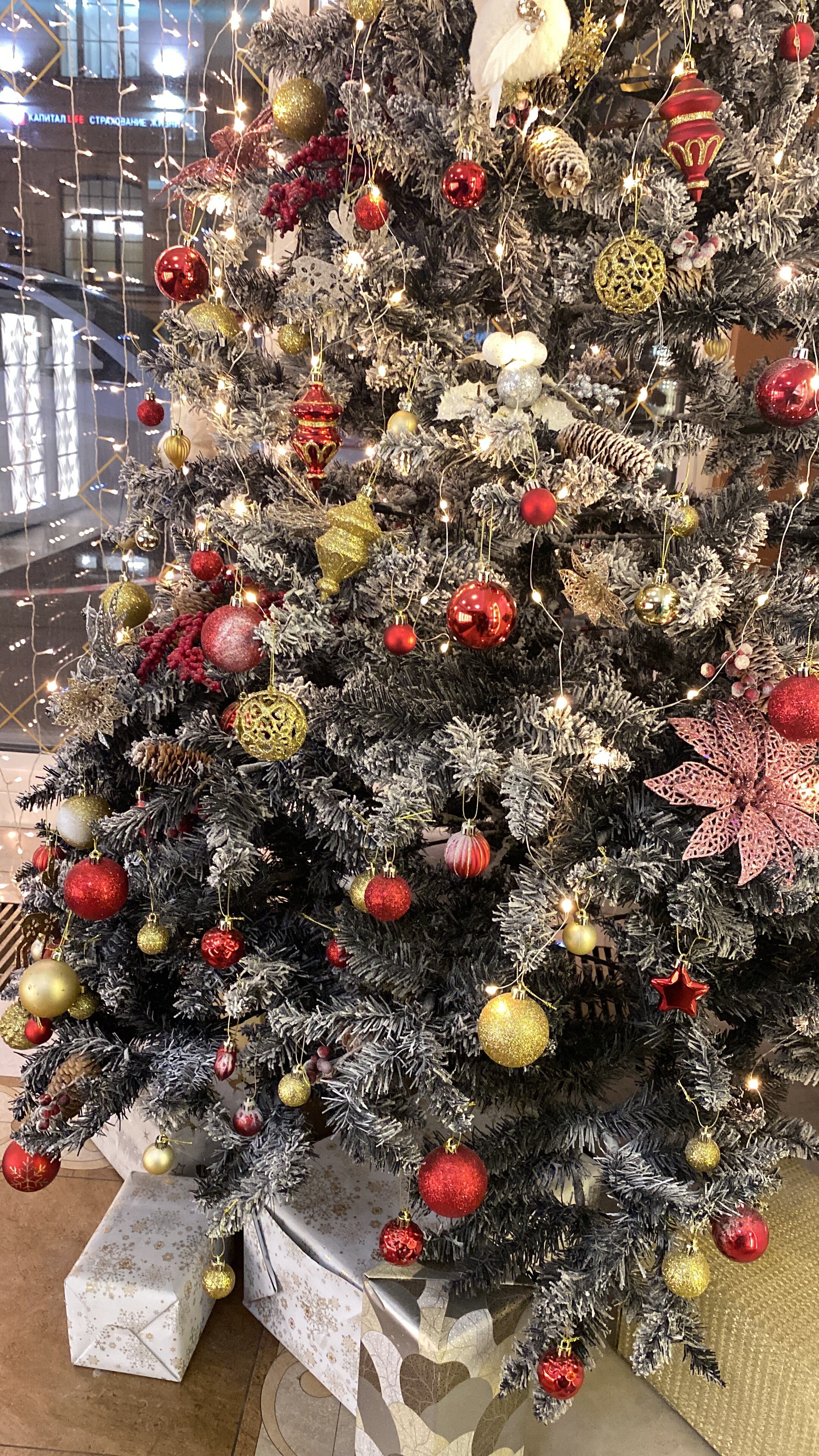 Фото Charme Apart