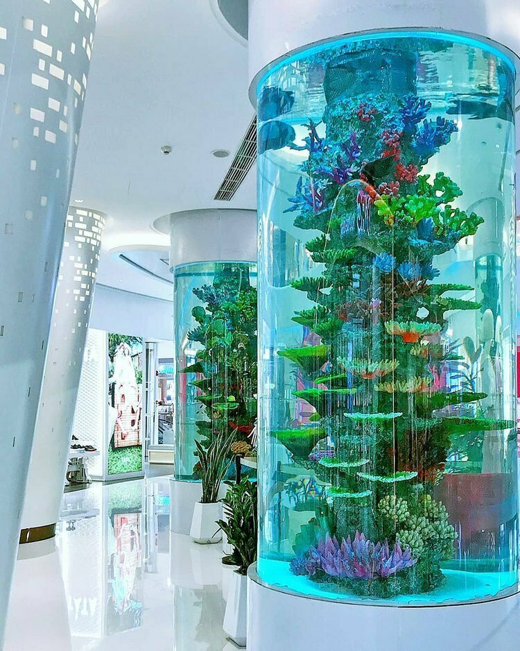 Aquariums RedFin Aquarium Design, Dubai, photo